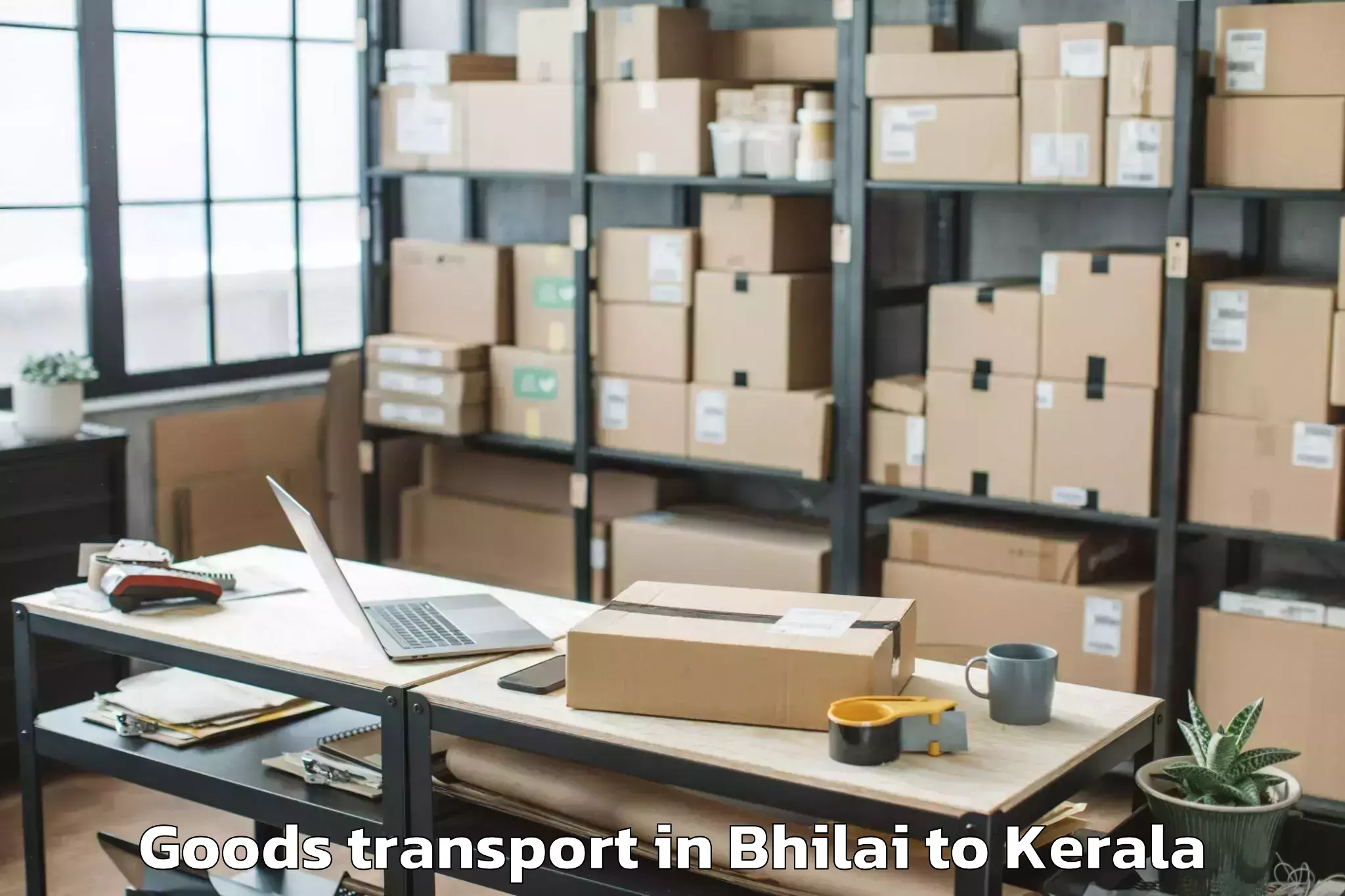 Book Your Bhilai to Kochi Goods Transport Today